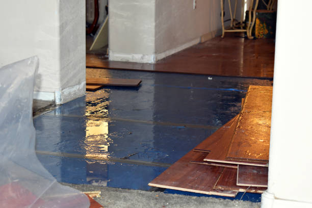 Professional Flood Damage Restoration technician working in Lyons, SD